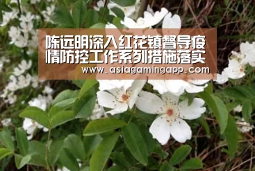 陈远明深入红花镇督导疫情防控工作系列措施落实情况“ag亚娱”(图2) 亚娱