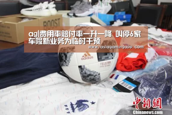 ag|费用率赔付率一升一降 叫停6家车险新业务为临时干预(图2) ag官网