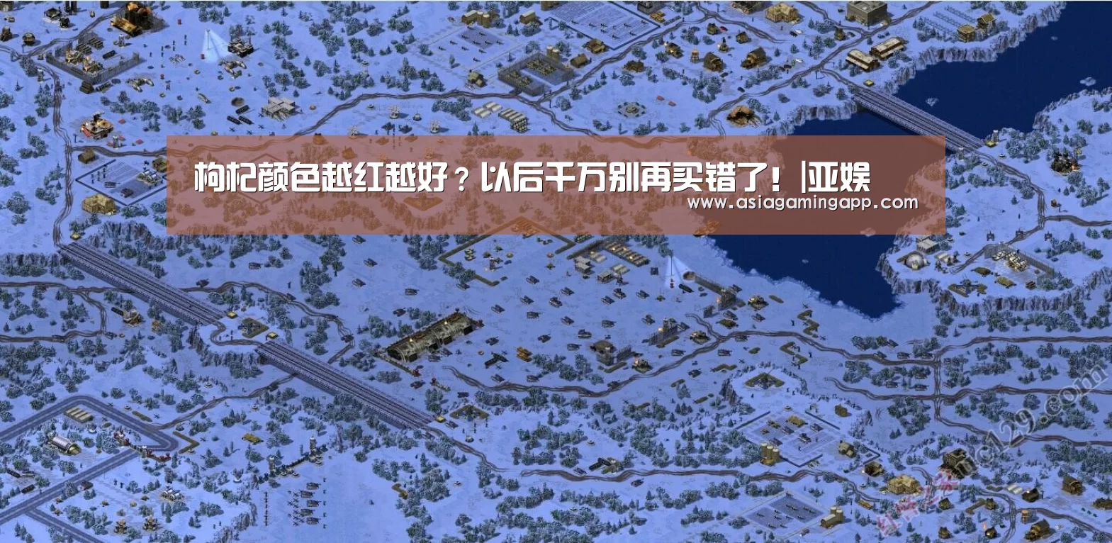 枸杞颜色越红越好?以后千万别再买错了!|亚娱(图4) ag官网