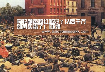 枸杞颜色越红越好?以后千万别再买错了!|亚娱(图5) ag官网